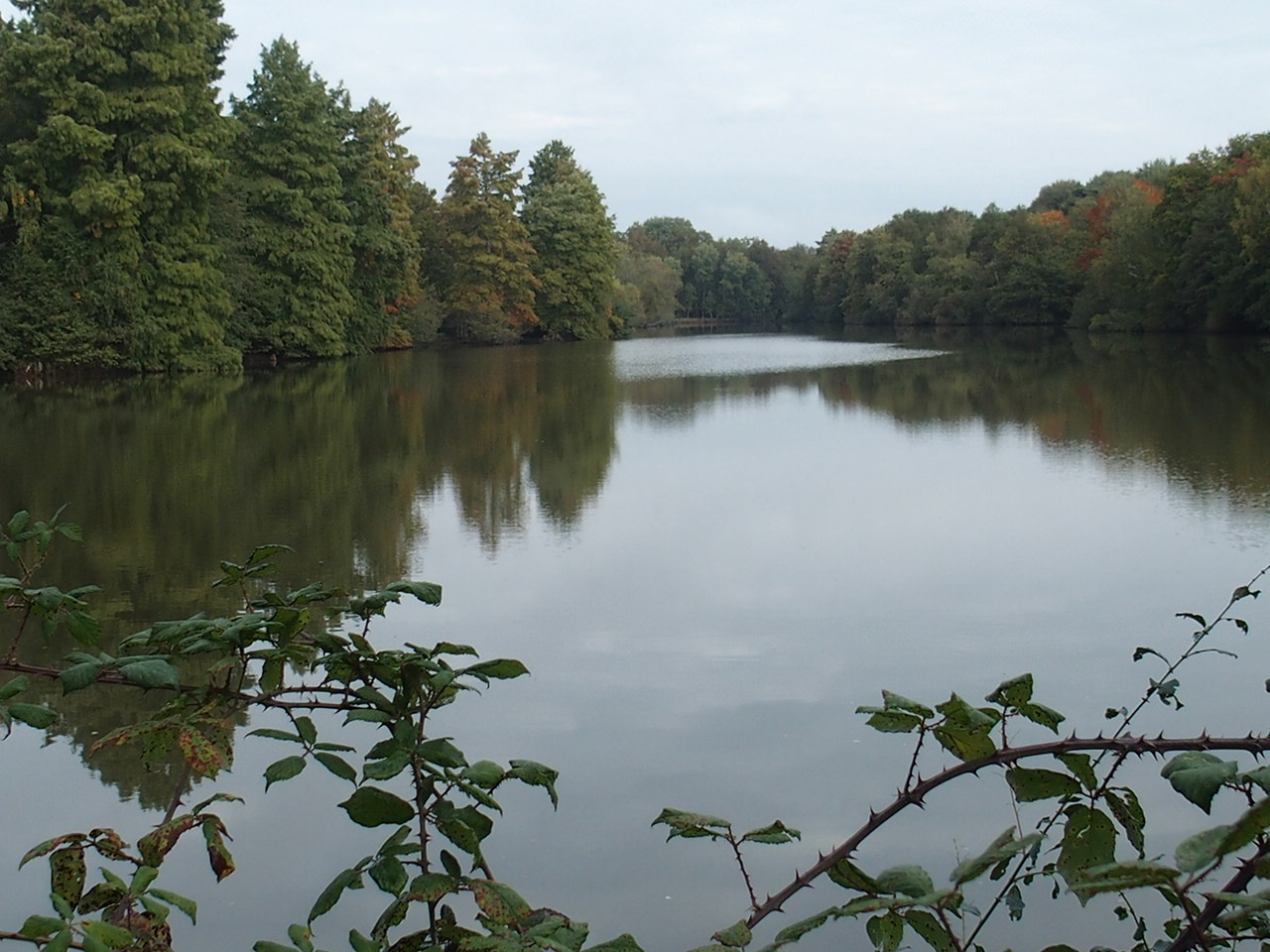 Aucune photo pour cette étape.